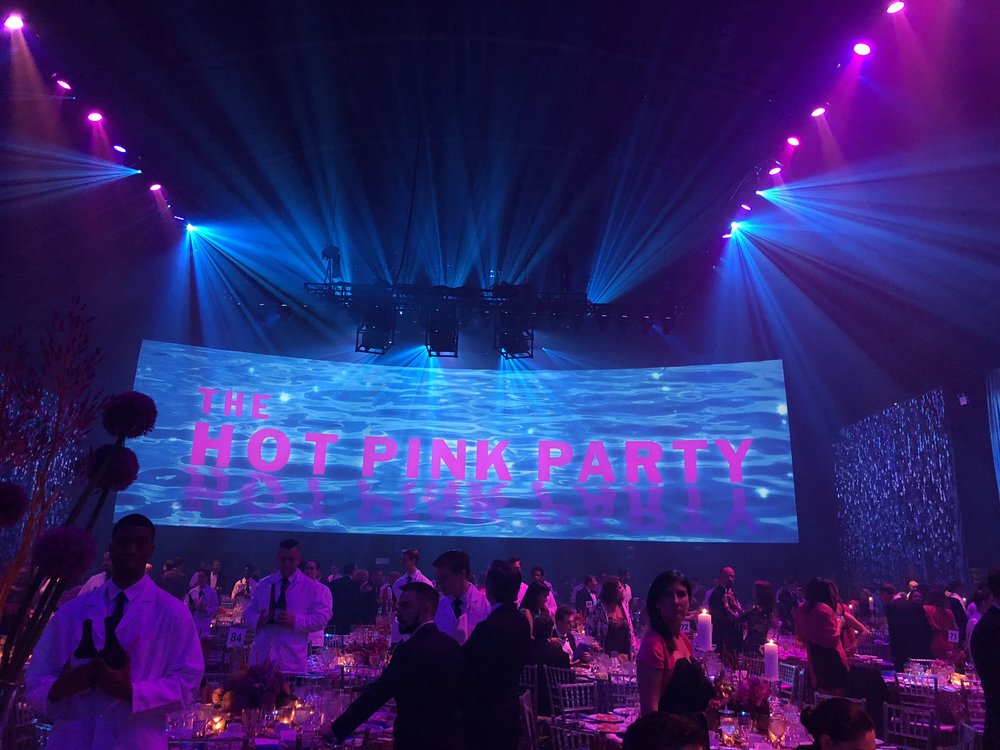 Picture taken at The Hot Pink Party to benefit Breast Cancer Research